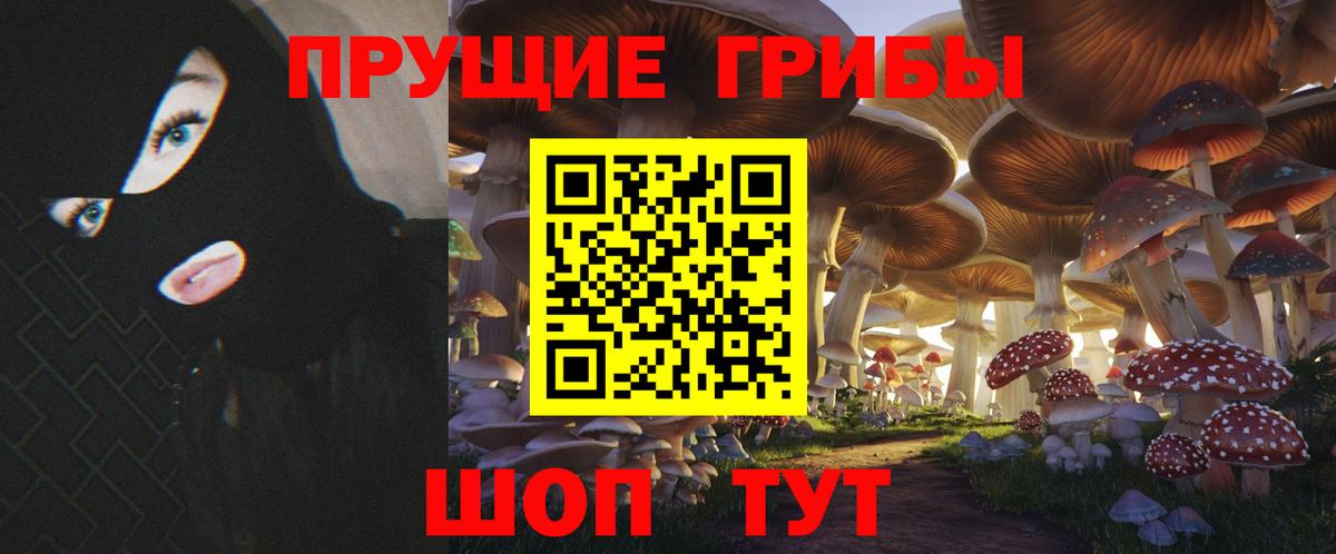 Галлюциногенные грибы прущие грибы Ноябрьск