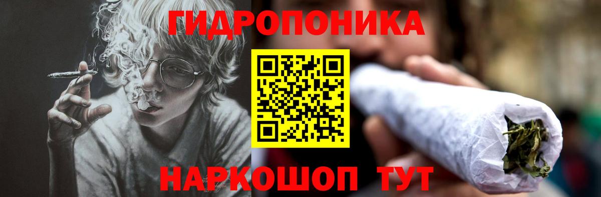 Канабис Ganja  Каннабис планчик  Вход с VPN  Марихуана сатива  Ноябрьск  Бошки марихуана гибрид 